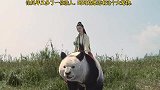呵呵姑娘的宠物果然。不同凡响。
