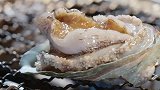 人生一串：新时代的烧烤，还是一场视觉盛宴