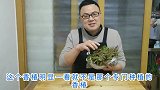 奶爸做农村香椿煎蛋饼，味道更香醇！儿子第一次吃香椿表情亮了