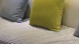 现在的房子可真的不好租呢～要来当我室友嘛