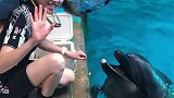 小海豚 腾腾 第六集: 焕然一新