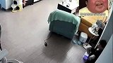 上一秒有多硬气，下一秒就跪得有多丝滑