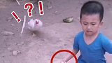 小老弟，一看就是个练武奇才