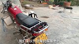 雪橇犬“的工作我就辞了啊，以后请叫我”牧羊犬“。