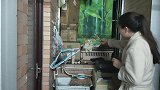 咸鱼的猫：一只合格的磨人猫，不在你晾衣服时候骚扰你是不可能的