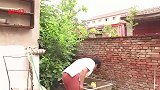 妯娌俩一个比一个抠门，水电费都不给婆婆交，村长看不下去了