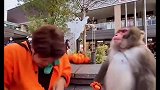 这社死来的可太突然了