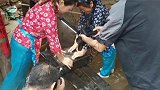 9月13日，“走遍大蜀道，吃遍大剑门”，多家媒体聚焦剑门豆腐剑阁美食