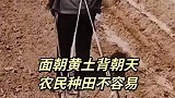 面朝黄土背朝天，农民种田不容易
