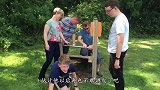 牛哥走路不看路，一头撞进了树洞里，这下尴尬了