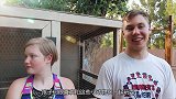 房子后院就是农场，能不能好好打理打理，这么做是不是白瞎了