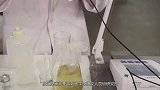 老外用尿液做成砖头，在室温下制作，不会产生任何温室气体！