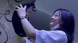 刚吃完大蒜的嘴，真是委屈狗子了