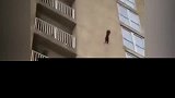 一只黑猫从层高楼掉落，本以为会惨死你，结果让人傻眼了！