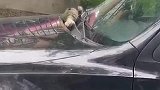 小猫跷二郎腿在车上睡觉，被搭讪吵醒