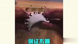 包饺子的骚操作，我是真的下不去嘴