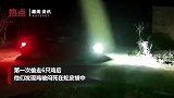 6人开宝马敞篷车偷鸡：第1次偷6只闷死了 又回去偷被抓正着