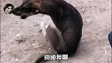 大哥你这跟我玩道具赛呢