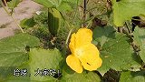 老公赌博，女儿学费都交不起，婆婆又催生三胎，想离婚娘家不同意