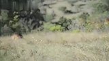 胜之不武！雄狮三对一，泰山压顶之势的攻击