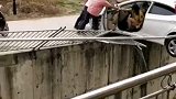 女司机 神操作