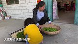 农村婆婆蒸一锅榆树叶子，小优优为啥不敢吃？儿媳盛一大碗吃到撑