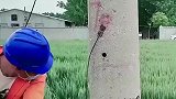都给我吧，我高价回收