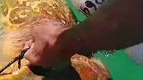 解救一下这只受困的海龟，希望它以后不要再受这种伤害