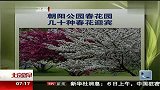 朝阳公园春花园 几十种春花迎宾 北京您早 120407