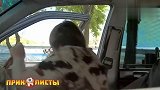 乘客刚要坐车却被吓出一身冷汗，老外太有意思了