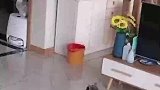 没办法他给的太多了，我们不得不演