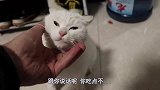 大彭自制砂锅酸辣粉，配上鸭胗鸭肠，老妈吃3碗，直夸味道好