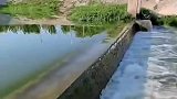 用树枝一挑，水流瞬间变水帘