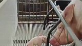 猪妈妈这是怎么了，这可是你的孩子啊