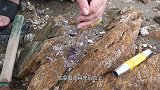小伙户外寻宝，意外发现神秘水晶石，这下发财了