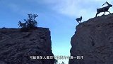 七只企鹅下楼梯，观众看到第6只笑坏了，最后一只才是真正的高手