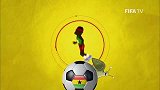 世界杯-14年-加纳国家队60秒介绍-新闻