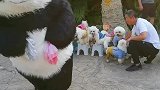 抢我们衣服的往哪跑