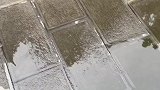 希望谁平安就偷偷许愿