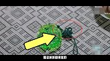 大咖都穿了-20170505-《择天记》最新十大搞笑穿帮