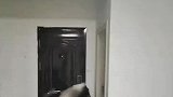 狗狗知道主人回家，看到主人很开心