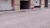 你们就说够不够用吧