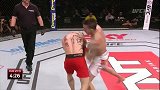 UFC-14年-UFC Fight Night 56：阿尔梅达vs戈尔曼集锦-精华