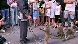 猴子上才艺