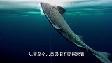 它拥有超强免疫力，如若攻破，人类将实现“长生不老”！