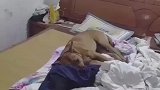 男子看到狗子睡自己床上