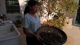 如何快速剥掉板栗壳，朱嫂剥板栗壳像剥花生一样，轻松简单又方便