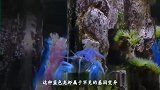 世界最贵的龙虾，吃一只都能买套房，每200万个中才出现一个