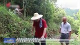 【广东罗定】精准扶贫政策让背靠肉桂山的农民吃上了“肉”