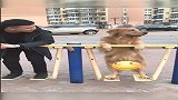 胎爸说好玩不轮胎说还行，这边有美女